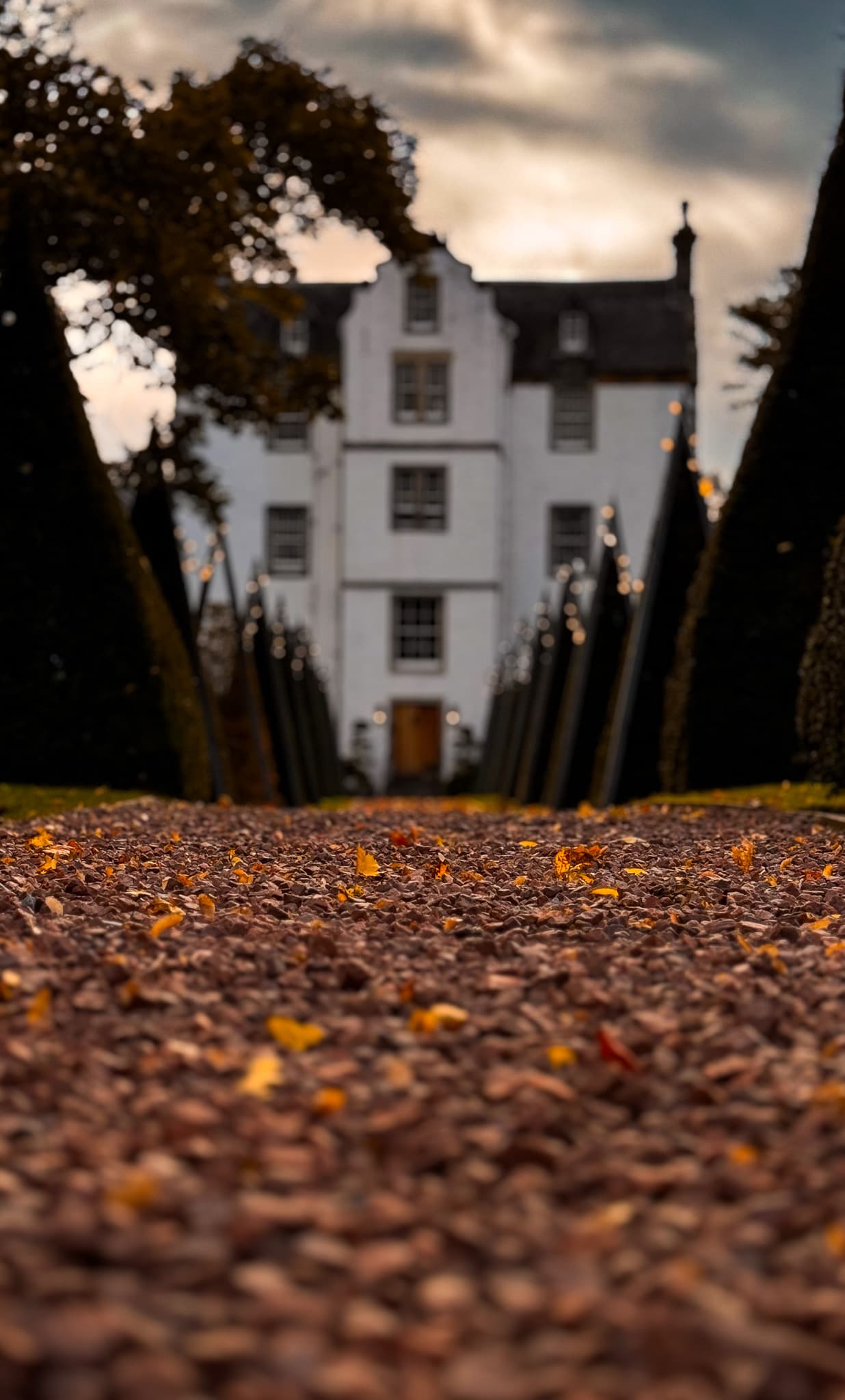 Saughton Park