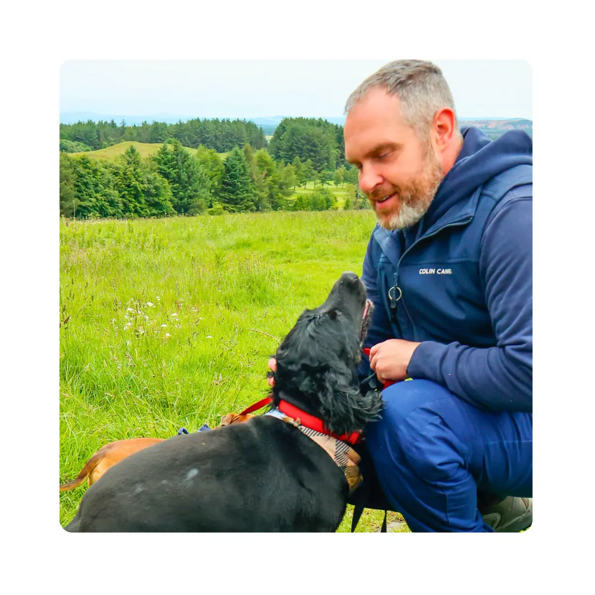 Colin’s Canines Case Study