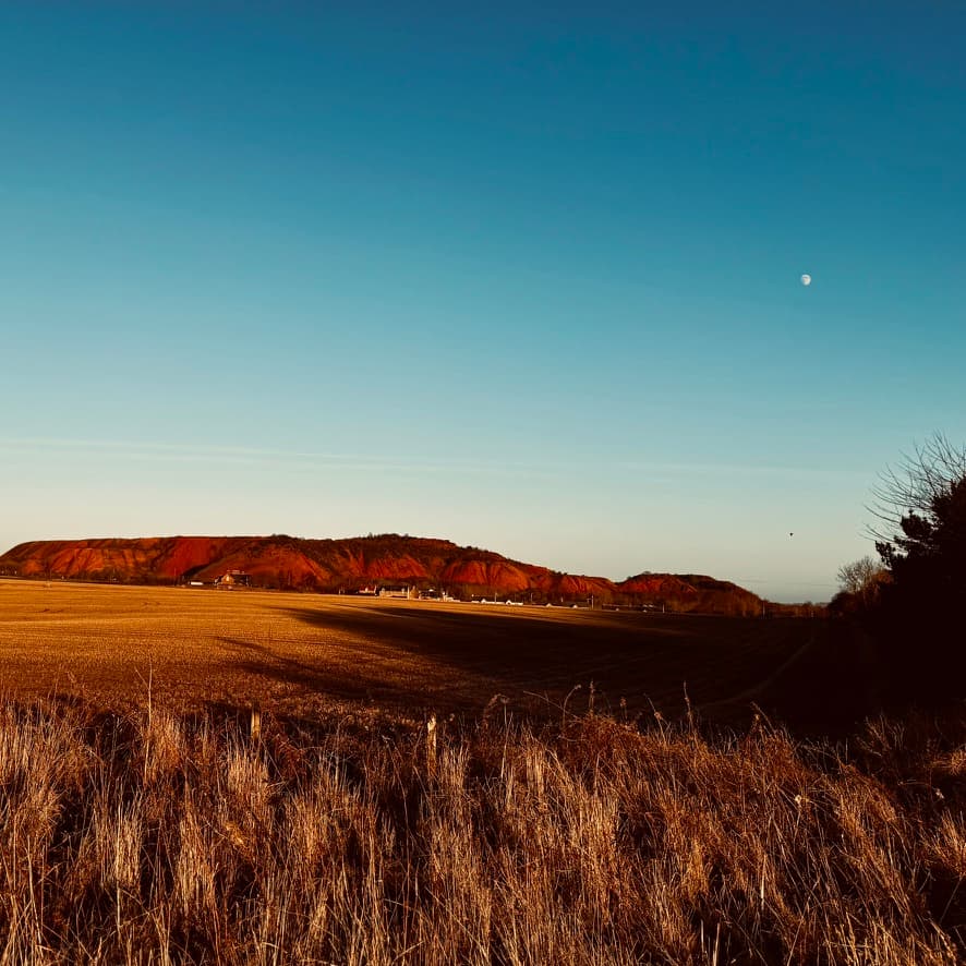 Golden field photographed by Bear Media