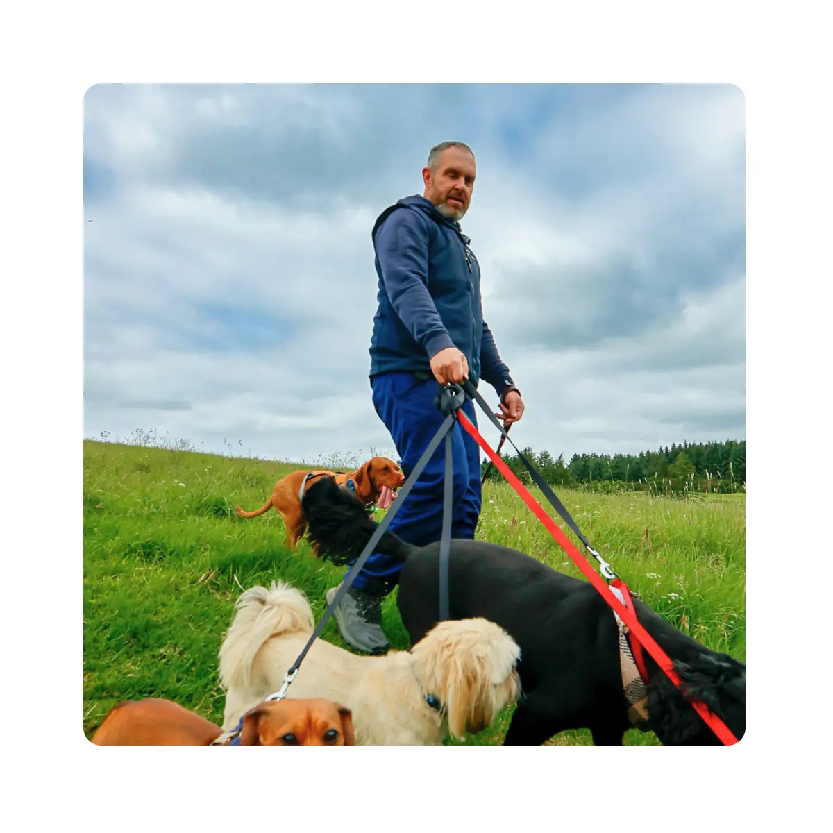 Colin with dogs photographed for Colin's Canines