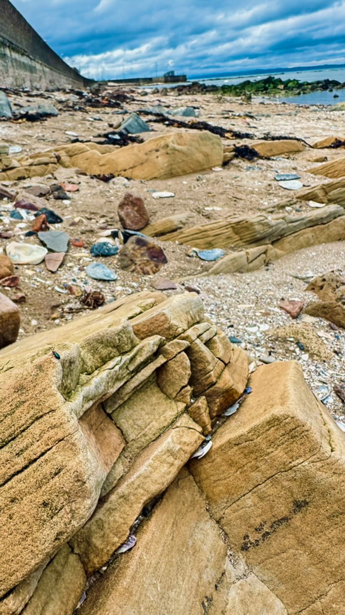 Scottish coastal rocks photographed by Bear Media