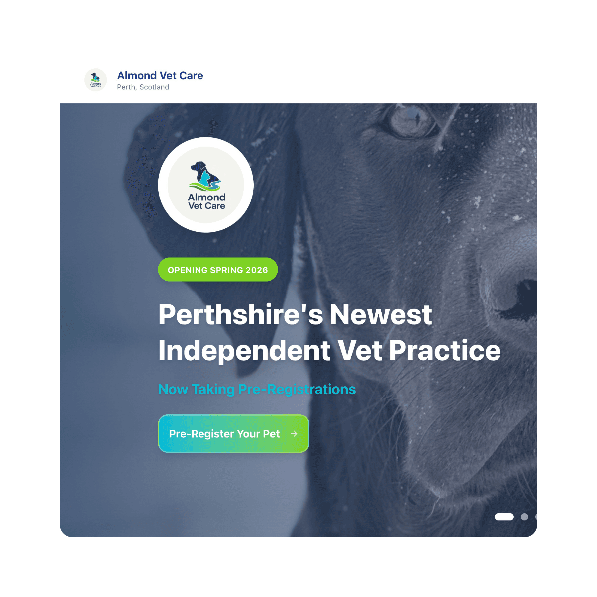 Almond Vet Care hero image