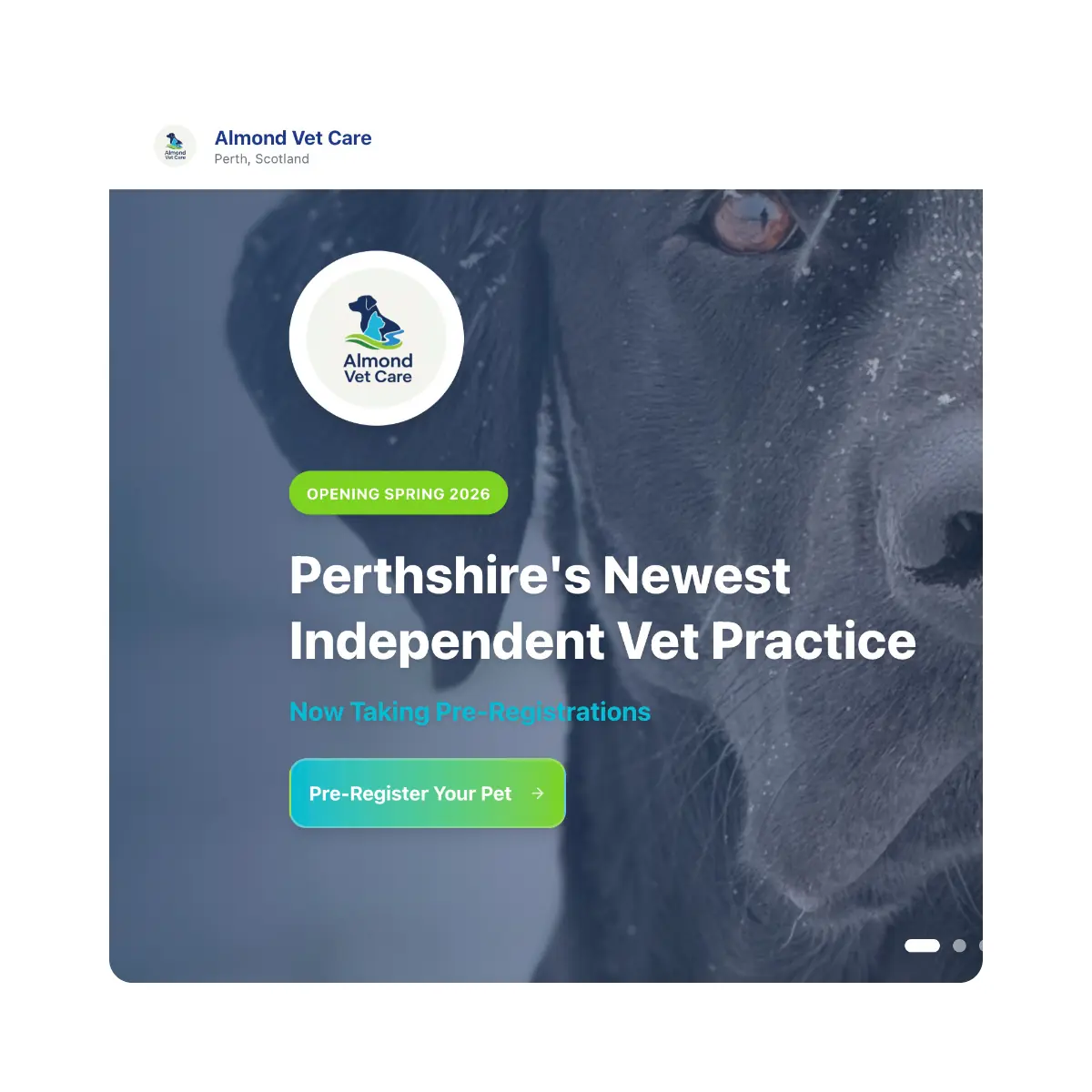 Almond Vet Care website designed by Bear Media