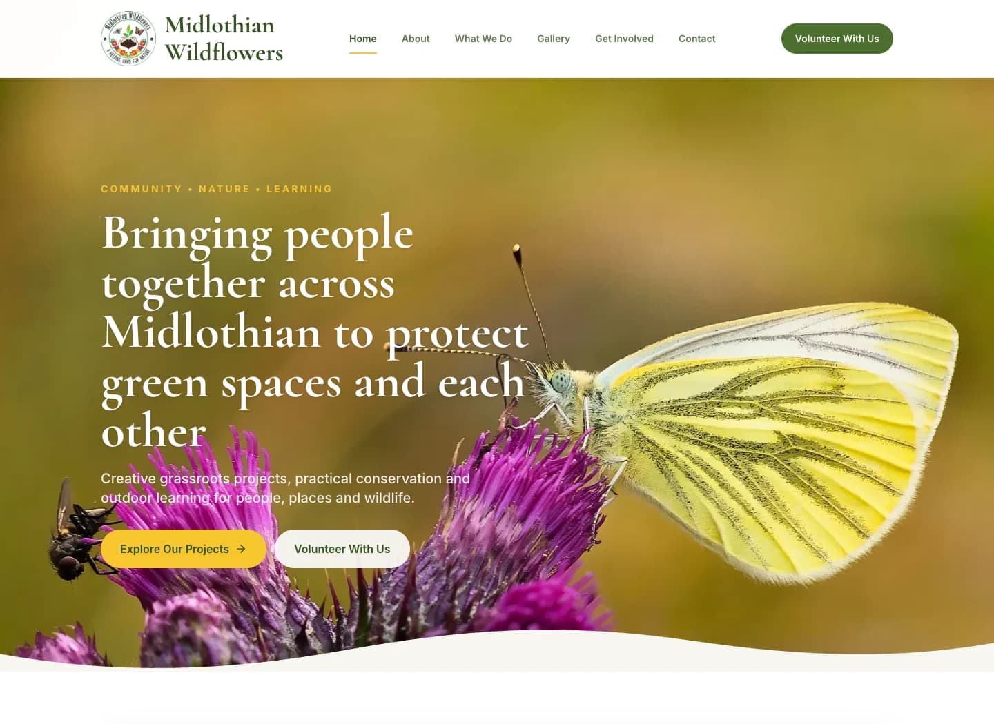 Midlothian Wildflowers hero image