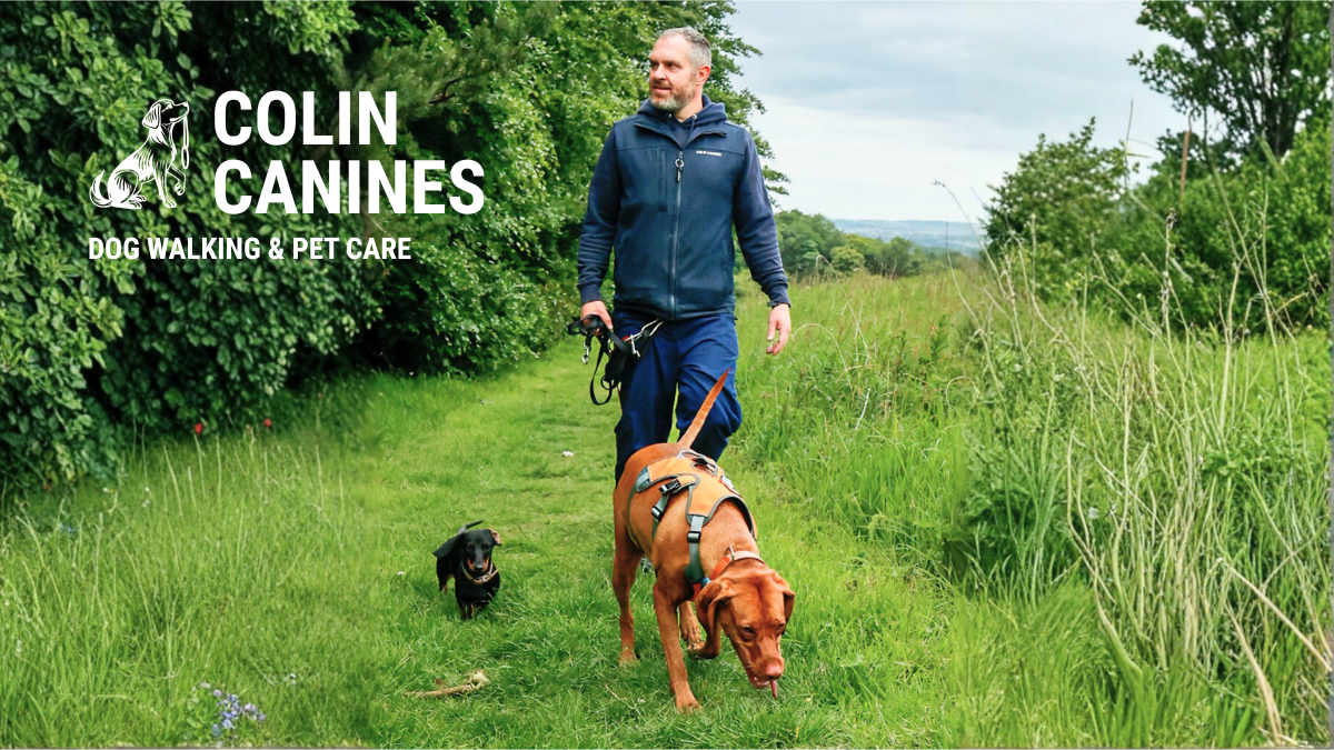 Colin Canines