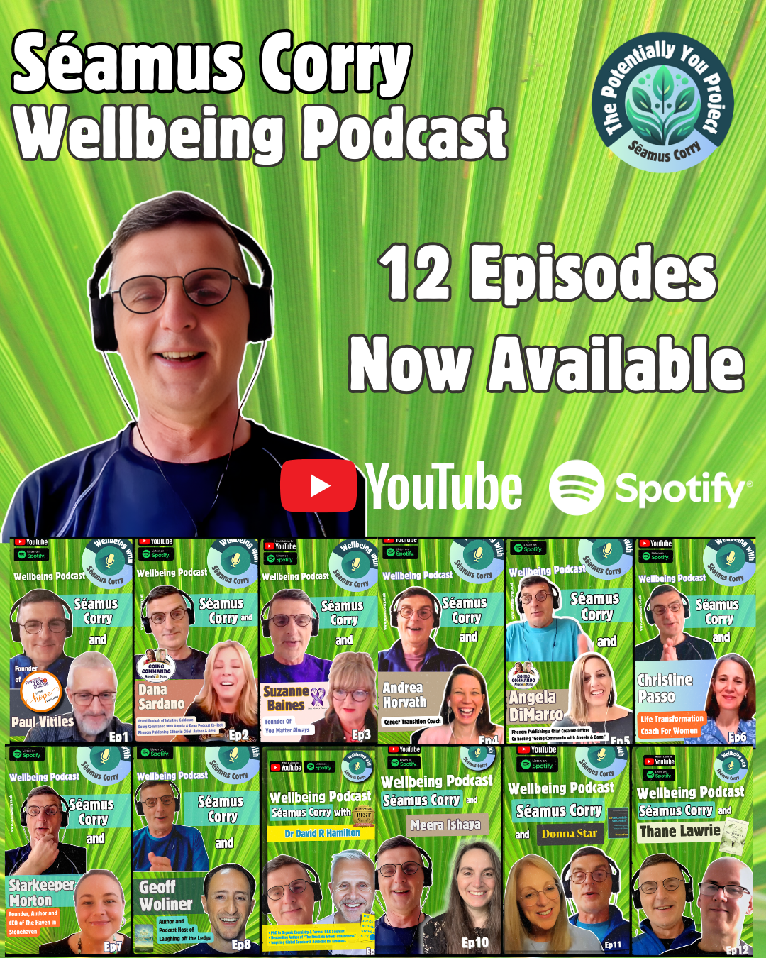 Seamus Corry Wellbeing Podcast promotional image showing 12 episodes available on YouTube and Spotify.